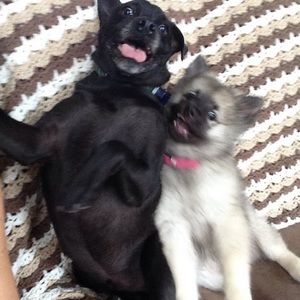 Meet your Posher, Courtney